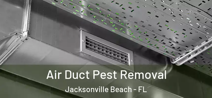 Air Duct Pest Removal Jacksonville Beach - FL