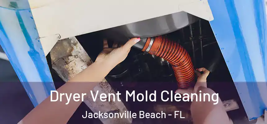Dryer Vent Mold Cleaning Jacksonville Beach - FL
