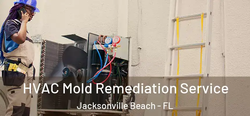 HVAC Mold Remediation Service Jacksonville Beach - FL
