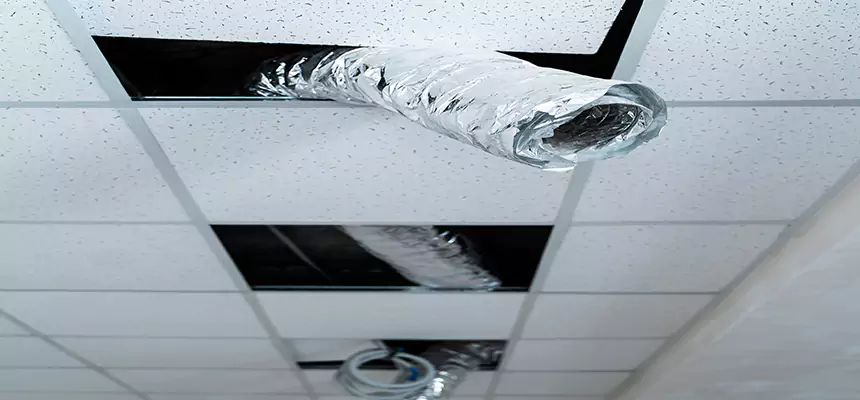 Affordable HVAC Sanitizing After Pest Removal in Jacksonville Beach