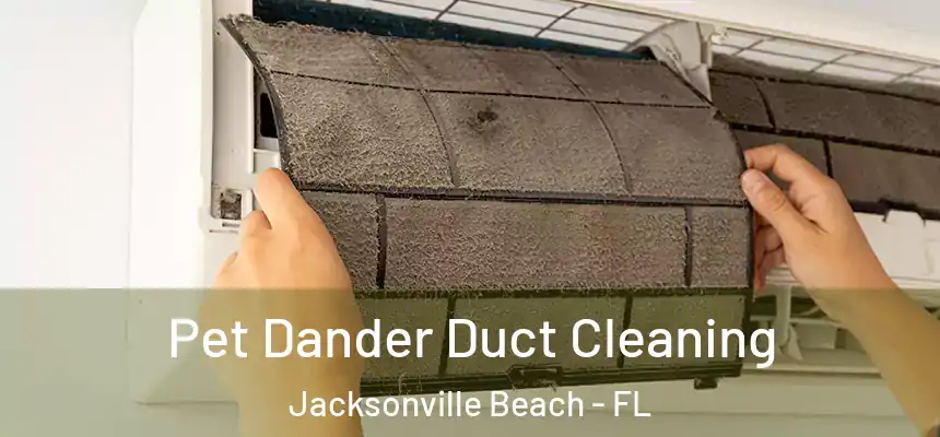 Pet Dander Duct Cleaning Jacksonville Beach - FL