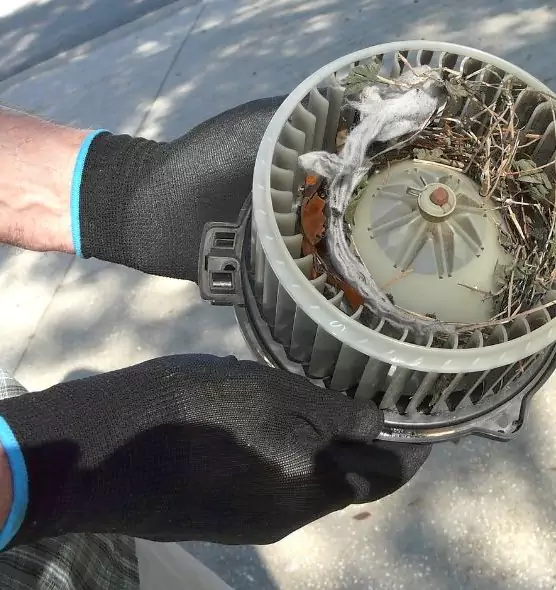 About Air Duct Mice Removal in Jacksonville Beach, FL
