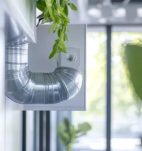 Professional Eco-Safe Dryer Vent Cleaning in Jacksonville Beach, FL