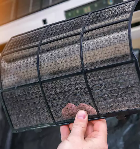 About Pet Dander Duct Cleaning in Jacksonville Beach, FL
